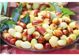 Red Dates Festival