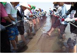 Taoyuan Marine Hakka Culture Festival