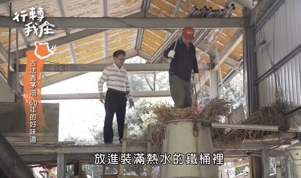 The dried citronella grass is put into a large iron bucket 